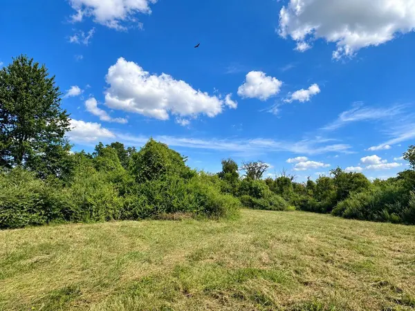 Tract 9 4.90 Ac State Road AA, Holts Summit, MO 65043