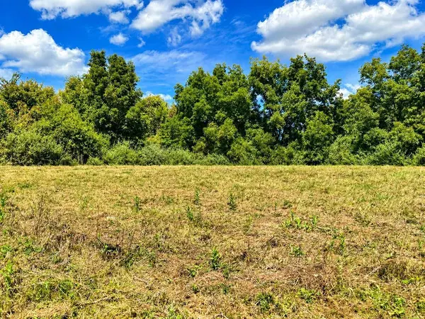 TBD Tract 6 5.57 ac state rd aa, Holts Summit, MO 65043