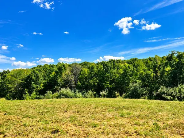 TBD Tract 6 5.57 ac state rd aa, Holts Summit, MO 65043