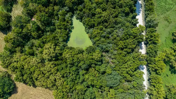 Tract 2 3.57 Ac County Rd 4008