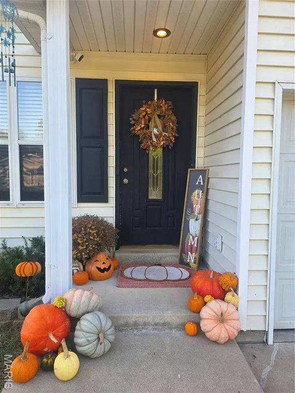 121 Holdinghausen DR, Crystal City, MO 63019