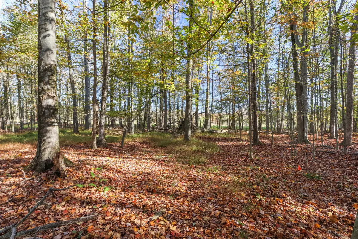 Cygnus Rd, Lake Ariel, PA 18436