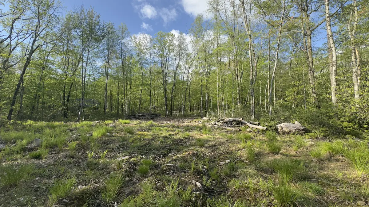 Butternut & Mahogany Rd, Jim Thorpe, PA 18229