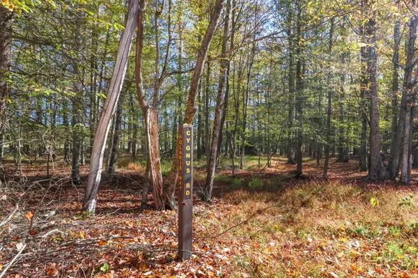 Cygnus Rd, Lake Ariel, PA 18436