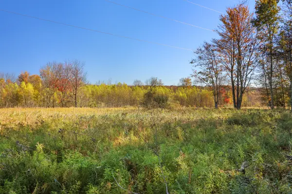 Cygnus Rd, Lake Ariel, PA 18436