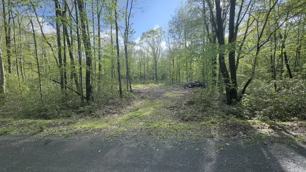 Butternut & Mahogany Rd, Jim Thorpe, PA 18229