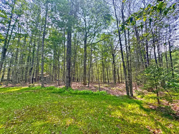 251 Depuy DR, Pocono Lake, PA 18347