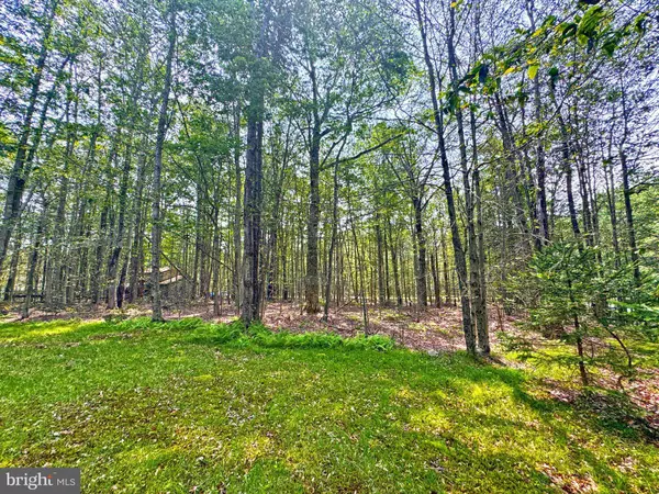 251 DEPUY DR, Pocono Lake, PA 18347