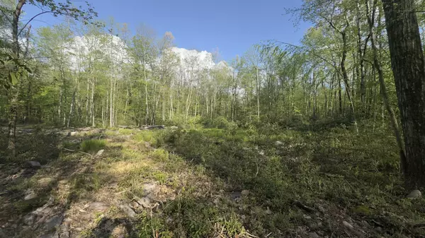 Butternut & Mahogany Rd, Jim Thorpe, PA 18229