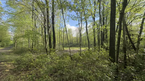 Butternut & Mahogany Rd, Jim Thorpe, PA 18229