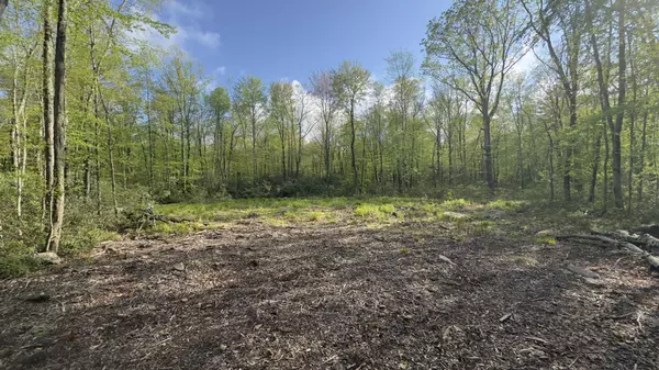 Butternut & Mahogany Rd, Jim Thorpe, PA 18229