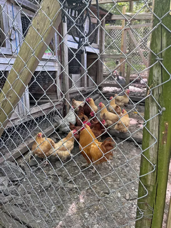 974 Meixsell Valley RD, Saylorsburg, PA 18353