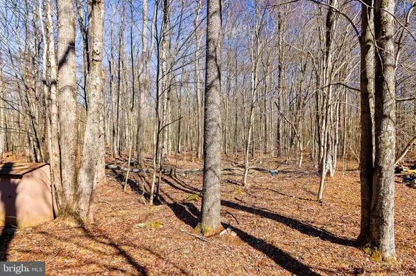 324 STROUD CT, Pocono Lake, PA 18347