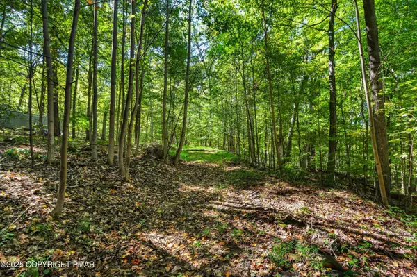 93 Coffeetown RD, Easton, PA 18042