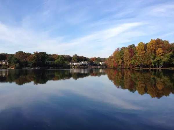 Real Estate Outlook for Reston & Northern Virginia