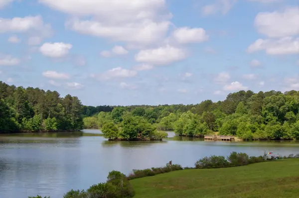 Best Parks in Gwinnett County, GA for Summer (2026 Guide)