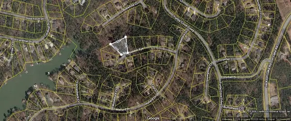 0 Goldeneye Court, Monticello, GA 31064