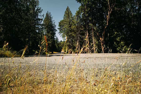 Lt 9 Sitka Grove, Gabriola Island, BC V0R 1X1