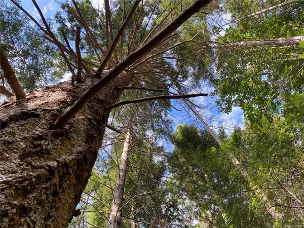 LT 39 Jackpine St, Gabriola Island, BC V0R 1X1