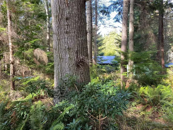 LT 39 Jackpine St, Gabriola Island, BC V0R 1X1