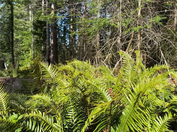 LT 39 Jackpine St, Gabriola Island, BC V0R 1X1