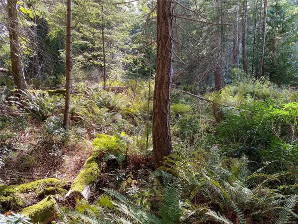 LT 39 Jackpine St, Gabriola Island, BC V0R 1X1