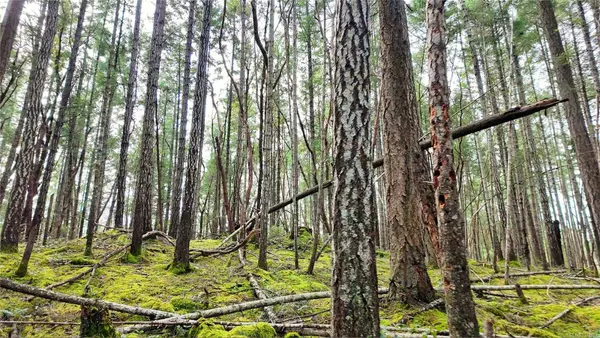 Lt 15 Coats Dr, Gabriola Island, BC V0R 1X4