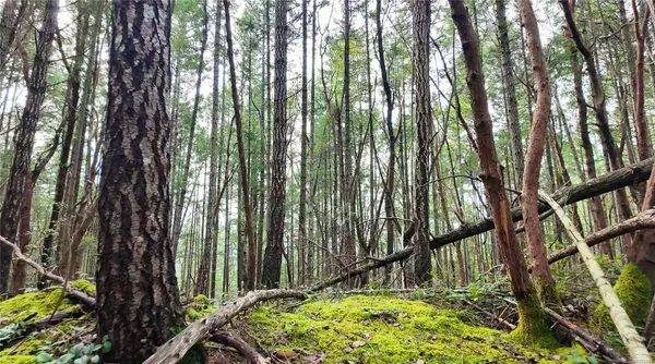 Lt 15 Coats Dr, Gabriola Island, BC V0R 1X4