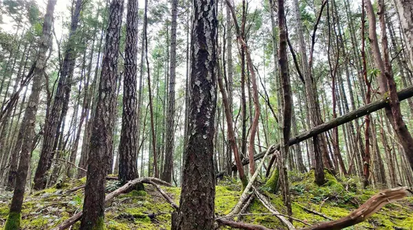 Lt 15 Coats Dr, Gabriola Island, BC V0R 1X4