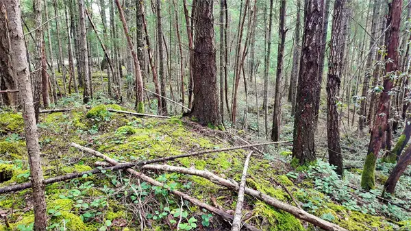 Lt 15 Coats Dr, Gabriola Island, BC V0R 1X4