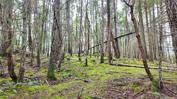 Lt 15 Coats Dr, Gabriola Island, BC V0R 1X4