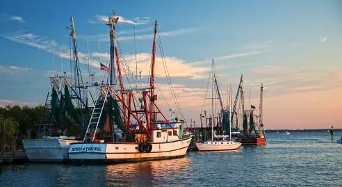  Charleston Restaurants Called Out for Not Serving Local Shrimp — Here’s the Full List