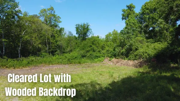 3249 Ben Watson Ct, Charleston, SC 29412