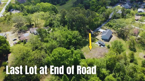 3249 Ben Watson Ct, Charleston, SC 29412