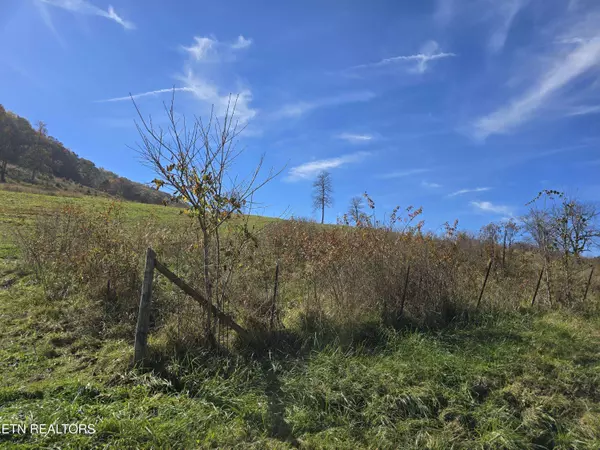 2391 Hogskin Rd, Washburn, TN 37888