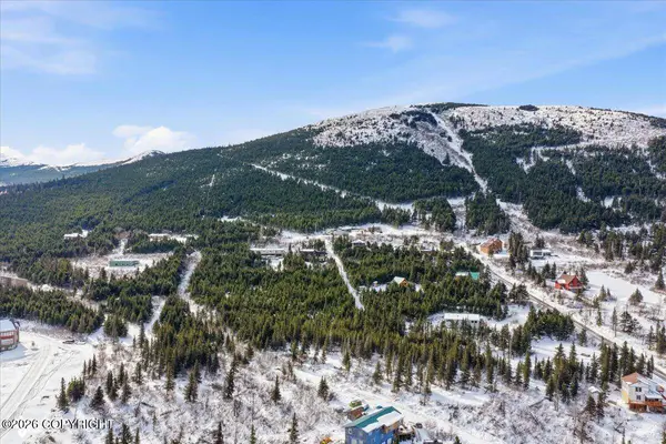 L4A B11H Rabbit Creek View DR, Anchorage, AK 99516