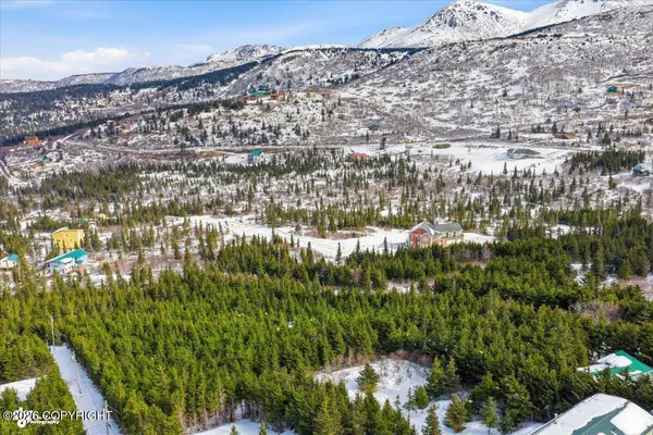 L2A L3A L4 A L5A Rabbit Creek View DR, Anchorage, AK 99516