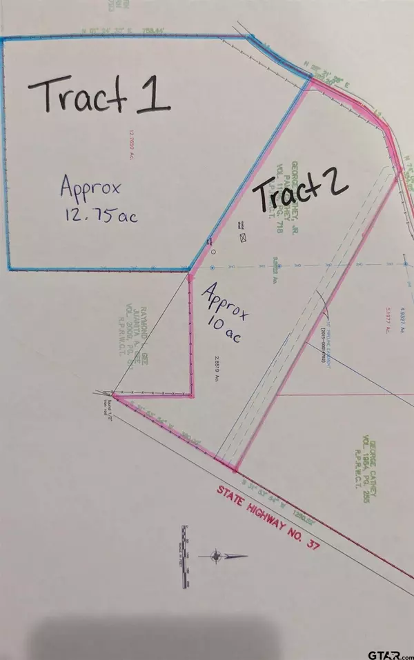 TBD (Tract 2) State Hwy 37 or CR 2351, Mineola, TX 75773
