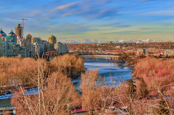 Popular Areas to Live in Calgary, AB: Find Your Perfect Neighborhood,Nadine Rife