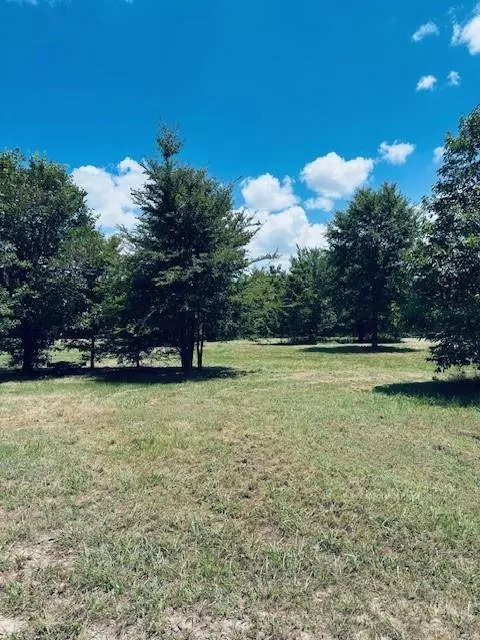 TBD County Road 2300, Emory, TX 75440