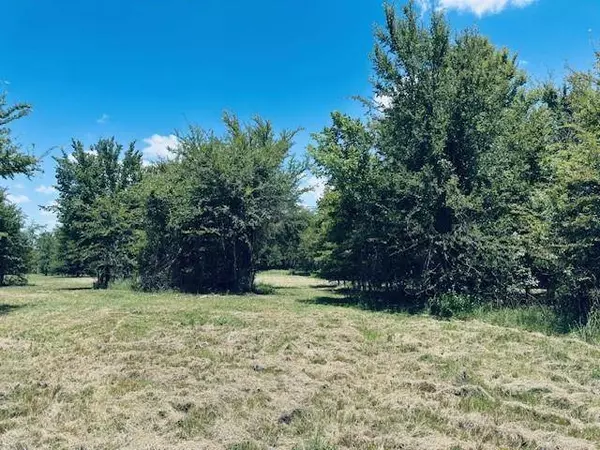 TBD County Road 2300, Emory, TX 75440