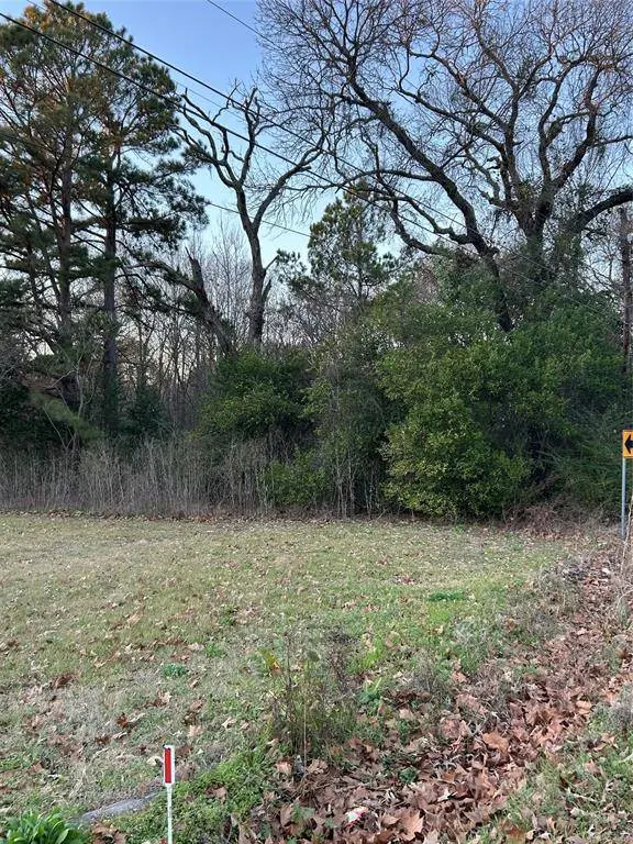 1203 N Hamlett Street, Athens, TX 75751