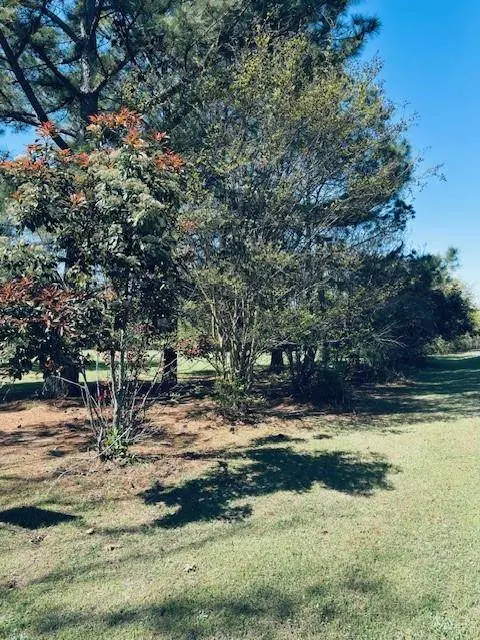 TBD County Road 3357, Emory, TX 75440