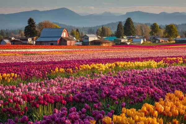 Living in Clackamas Oregon