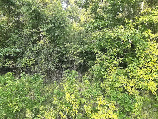 TBD Oakwood DR, Huntsville, TX 77320