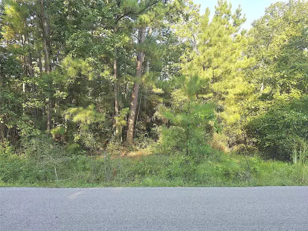 TBD Oakwood DR, Huntsville, TX 77320