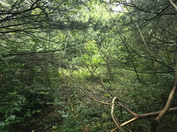 1069 Conestoga TRL, Livingston, TX 77351