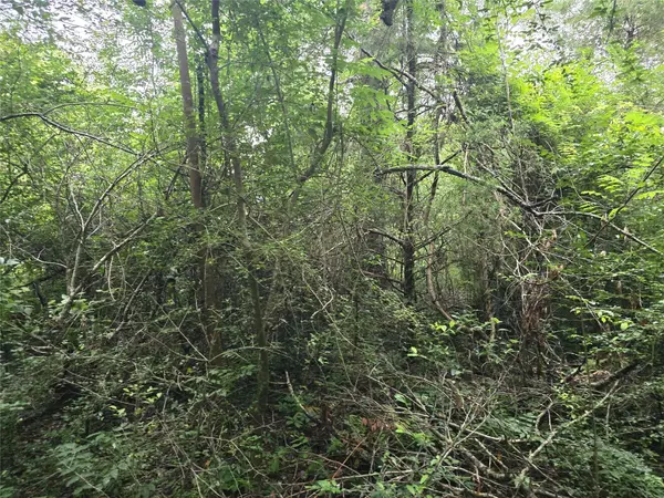 1069 Conestoga TRL, Livingston, TX 77351