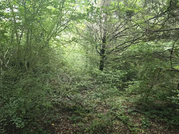 1069 Conestoga TRL, Livingston, TX 77351