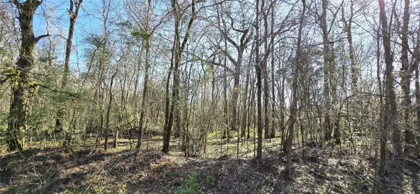 TBD County Road 2500, Liberty, TX 77575